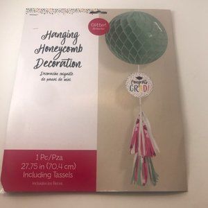Hanging HoneyComb Graduation Decoration